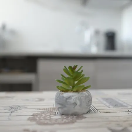 The Of Swami בית הארחה בארי